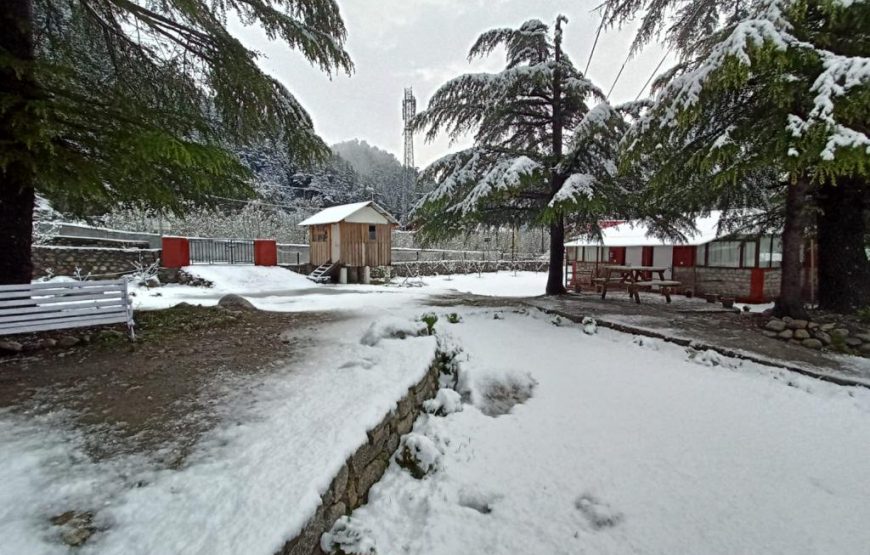 Harsil Retreat | Best Hotel in Harsil | Best Resort in Harsil