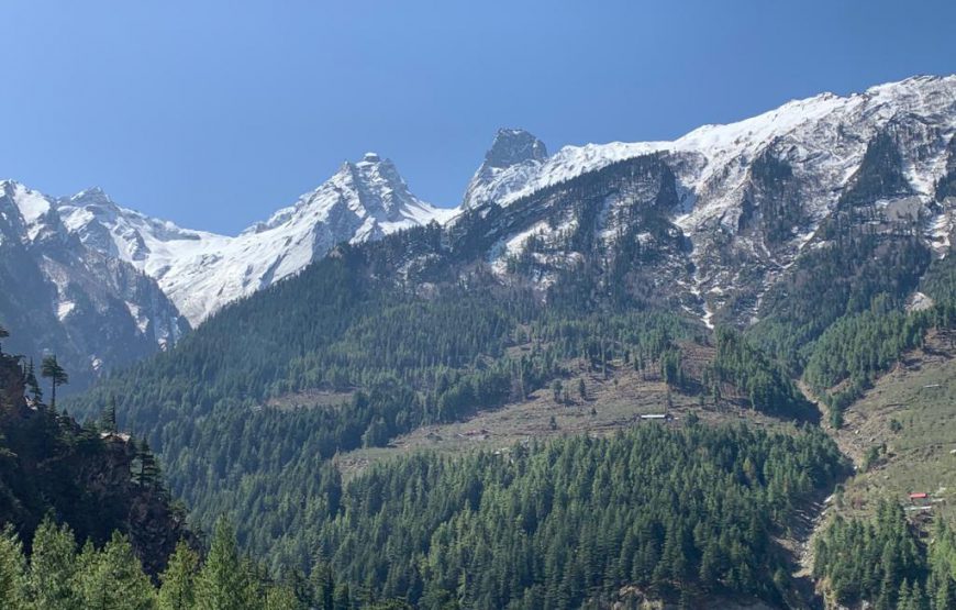 Harsil Retreat | Best Hotel in Harsil | Best Resort in Harsil