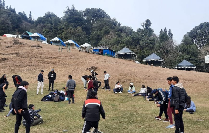 Mountain Delight Camp