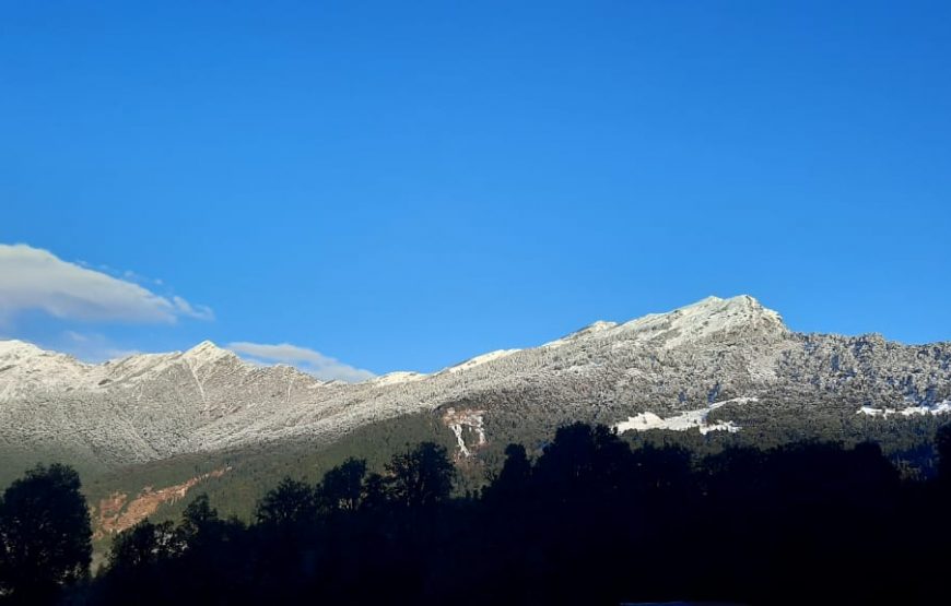 Mountain Delight Camp