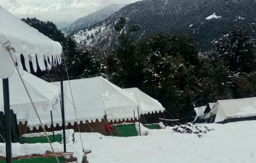 Mountain Delight Camp