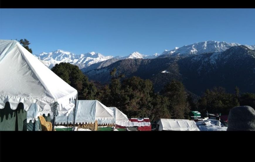 Mountain Delight Camp