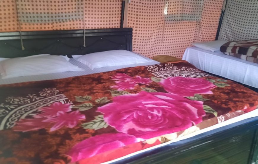 Mountain Delight Camp