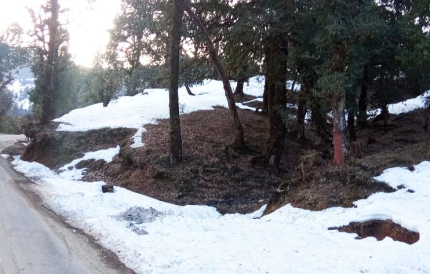 Trishul Holiday Campsite