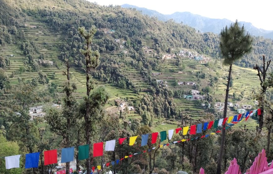 Ekant View Homestay Best Homestay in Ghansali