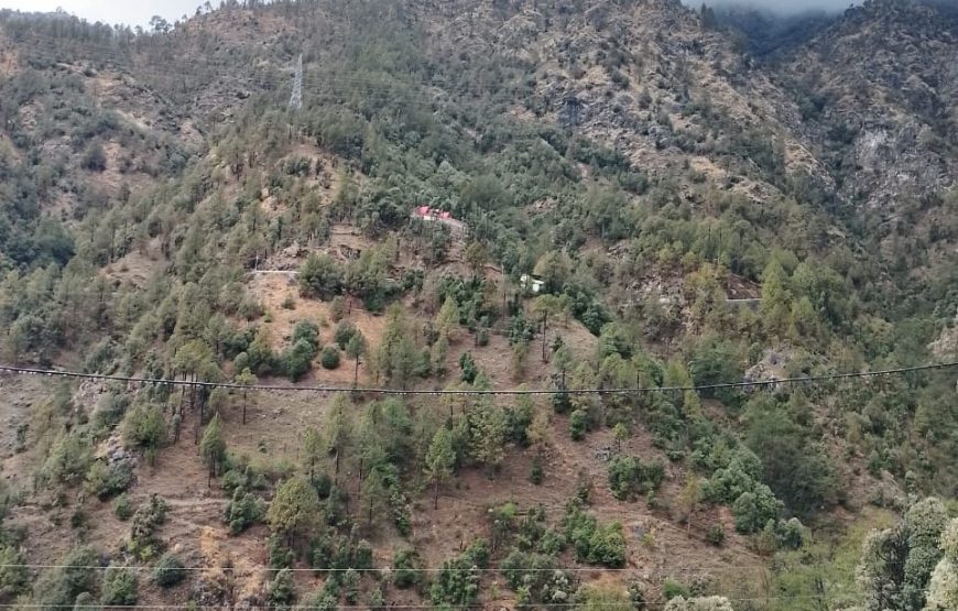 Ekant View Homestay Best Homestay in Ghansali